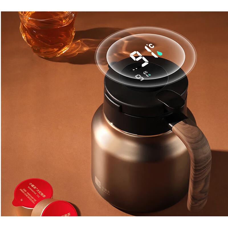 Smart Titanium Insulated Teapot with Temperature Display
