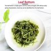 Pure Green Tea - Organic and Refreshing - New Tea 200g