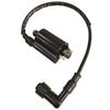 Motorcycle Performance Parts Ignition Coil Ignite System Unit For GS125 GN125 YAMAHA VIRAGO250 XV125 XV250 1995-2007