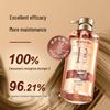 Fenghua Essence Oil Fragrance Shampoo