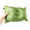 Coleman 2000010428 [Compact Inflator Pillow Ii  Compact Inflator Pillow Ii ]