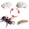 Oenux Simulation Luna Moth Salmon Butterfly Ants Life Growth Cycle Animals Model Action Figures Educational Miniature Kids Toy