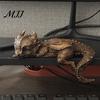Reading Dragon Statue Sleeping Bookshelf Decor, Book Nook Figurine, Gothic Unique Gift for Fantasy Lovers Booksitter Ornament, Shelf Desk Bookend