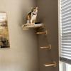 Cat Wall Climbing Shelves ScratcherFurniture Wall Mounted Bed Cat Wall Shelves & Hammock for Indoor Cats Home Decor Accessories