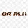 Evil Tai Kamiya Tai Kamiya Kari Kamiya Iron on Heat Transfer Printing Vinyl Patches Sticker for Clothes DIY Appliques Washable Patches