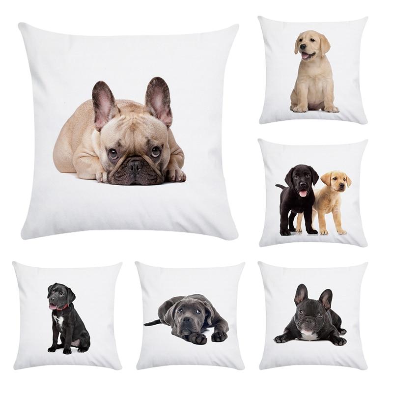 cat litter multi cat