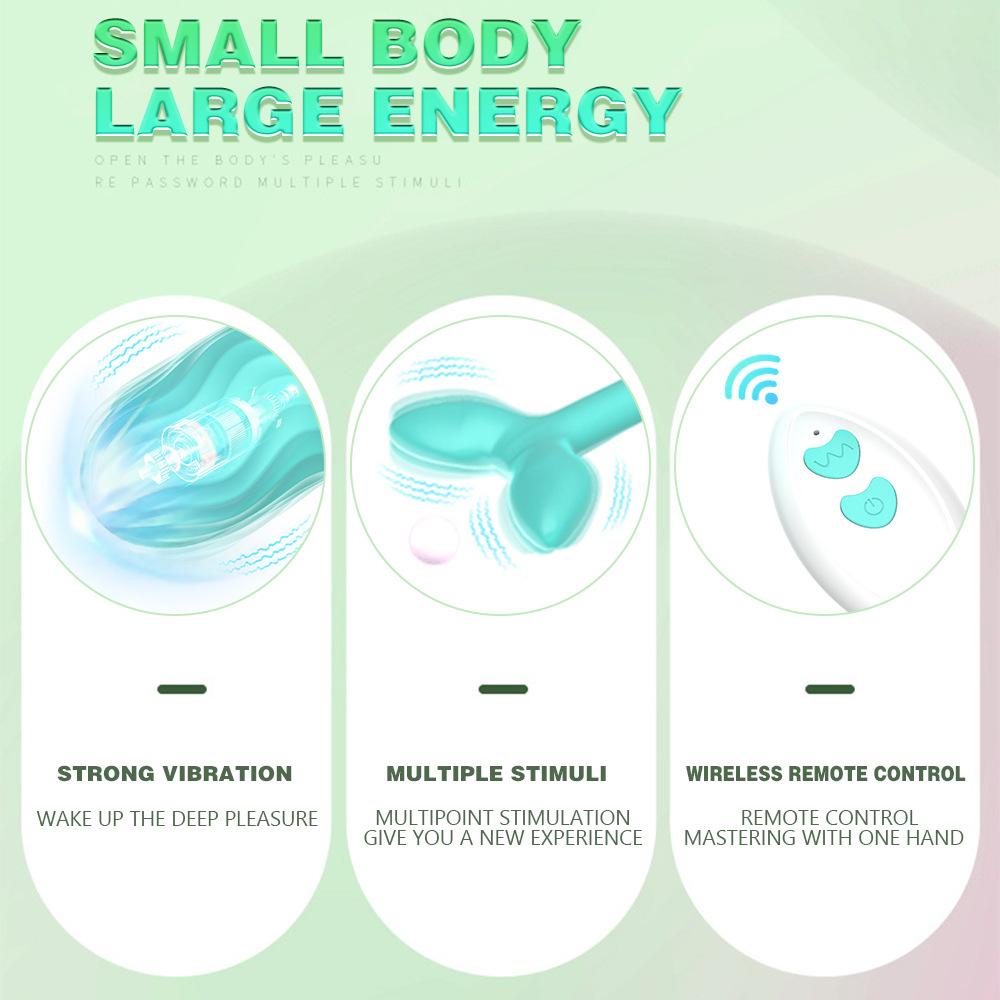 Clit Vibrator Remote G-Spot Stimulator Vagina Massager Rechargeable Sex Toys for Women