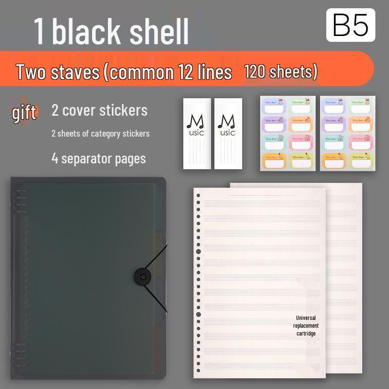 Professional Loose-leaf Music Staff Paper Book: Wide Spacing for Beginners and Students (Large Grid)