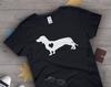 Koszulki i topy – T-shirty i koszulki