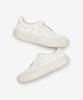 Vatoz Vtz Hippo_Ivory