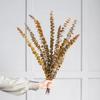 20 Pcs Preserved Dried Eucalyptus Stems, 17" Natural Fresh Eucalyptus Branches,Real Plant for Vase Filler, Dried Flowers Arrangement