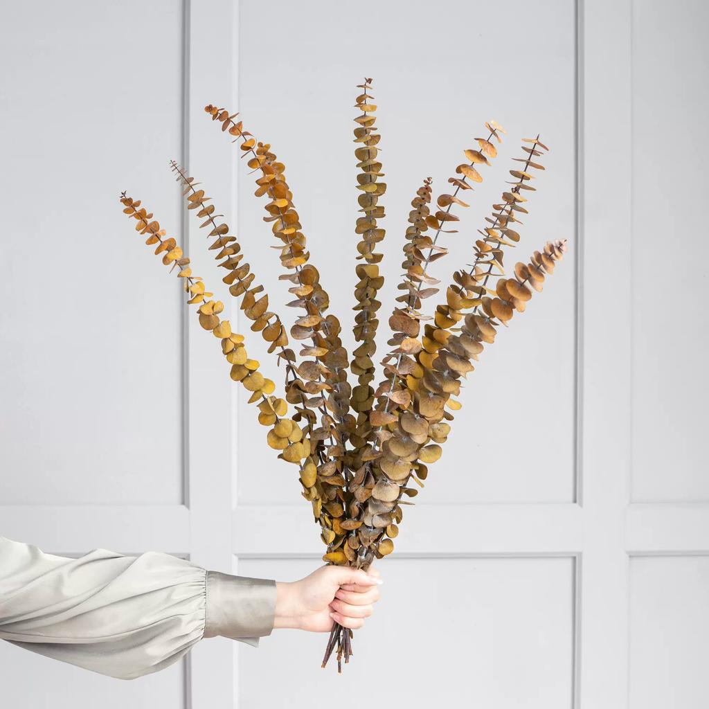 20 Pcs Preserved Dried Eucalyptus Stems, 17" Natural Fresh Eucalyptus Branches,Real Plant for Vase Filler, Dried Flowers Arrangement