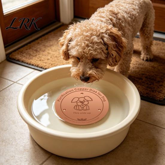 Pet Water Bowl Accessory Copper Disc Purification for Dog, 4-Inch Diameter Pure Disc, Slimy Scale Removal with 3-Point Support Dog Dispenser