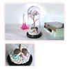 LED Lamp Glass Cover Rose Flower Micro Landscape Decorative Light Christmas Gift