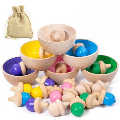 Hračky pro rozvoj a vzdělávání – Výukové hračky