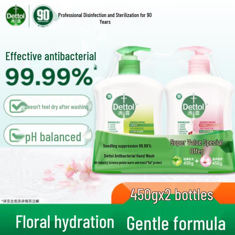 Dettol Antibacterial Hand Wash (Moisturizing & Pine, 4-Pack)