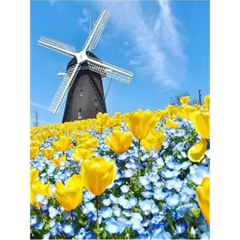 

Алмазний живопис своїми руками Партер. Набір для вишивки хрестиком. Мозаїчне мистецтво. Алмазний живопис. Повне коло/квадратний алмаз. Прикраса дому Round 40x50cm