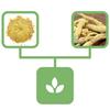 Ginger Dried Ginger Root 1 Kg Natural Shop