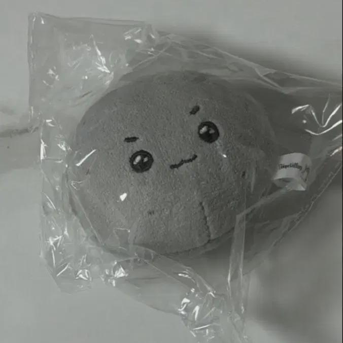 

RIIZE Кукла Ынсок Серебряный поплавок