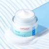 [no.1 Moisture Adhesion Cream Sensitive Skin Improvement] Cell Fusion C Mildly aCidiC Faria Moisture Cream 80ml