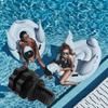 Surfing şi scufundări – Piscine şi accesorii