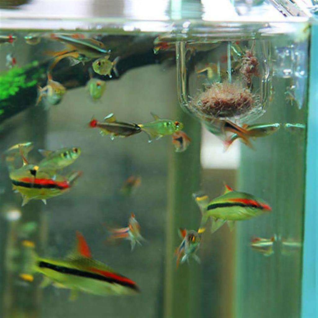 Acrylic Aquatic Plant Cups Aquarium Fish Tank Glass Plant Pot With Suction Holder Feeding Container Stand For Aquarium Lanscape