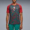 Puma FPF Warm Up DryCell Portugal National Team Slim Fit Short Sleeve Quick Dry T-Shirt Men Tops 784788-37