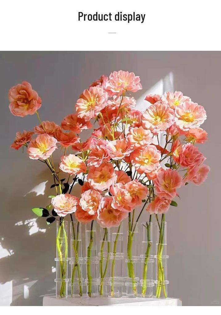 Foldable Transparent Glass Vase for Tulips - Modern Hydroponic Display and Decoration.