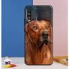 Rhodesian Ridgeback Dog Case For Huawei Nova Y70 Y60 Y90 Y61 Y91 Y72 Y73 12s 12i 11i 8i 9 10 SE P30 P40 Lite P60 Pro