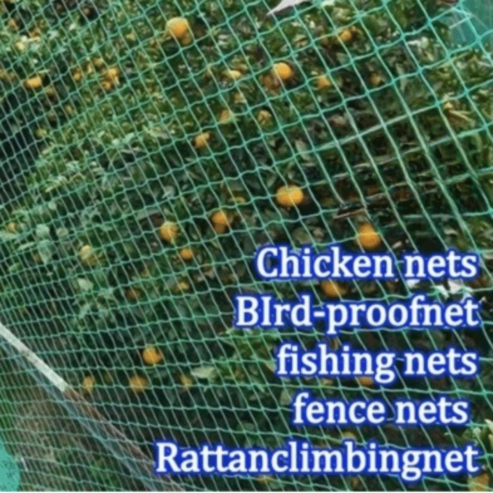 1.25inch Mesh Anti Bird Netting Nylon Material Orchard Net  Orchard Protection