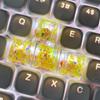 Translucent Resin Shell Paper Keycaps for Mechanical Keyboards
