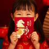 Traditional Chinese New Year Red Envelope Horse Brocade Embroidered Lucky Money Packet  Birthday