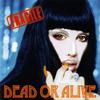 CD DEAD OR ALIVE - Fragile AVCD11823 Avex Trax 2000 Japan ObiDance & Electronica Used