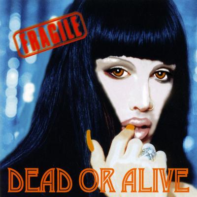 CD DEAD OR ALIVE  Fragile AVCD11823 Avex Trax 2000 Japan Dance  Electronica Used