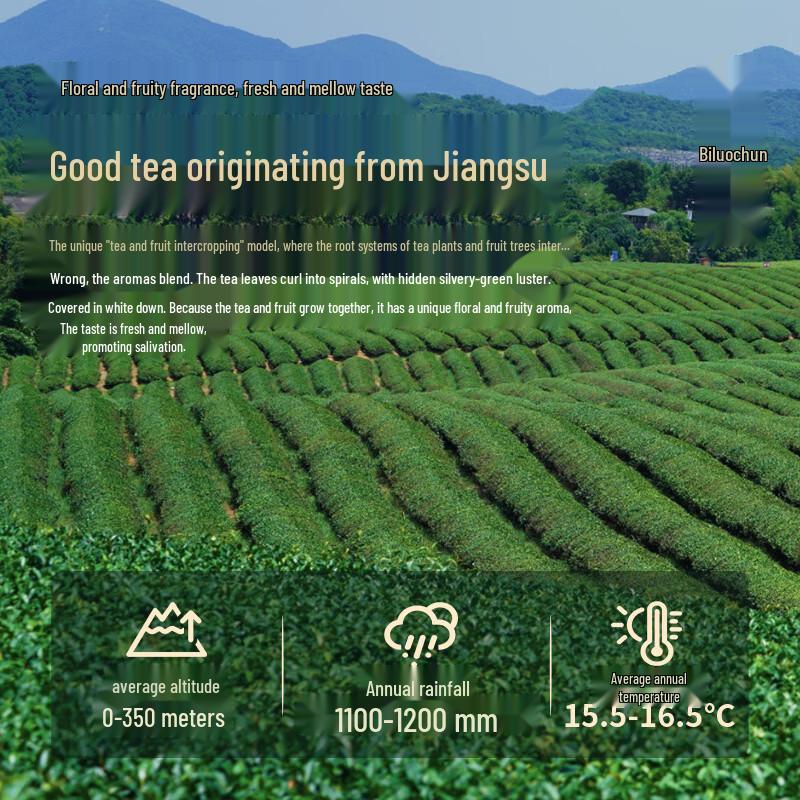 Quxun Premium Tea Gift Collection