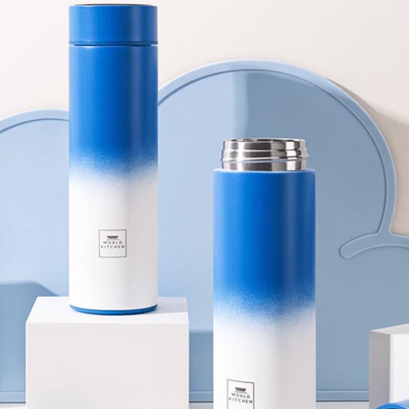 Corning VISIONS 500ml Digital Insulated Bottle