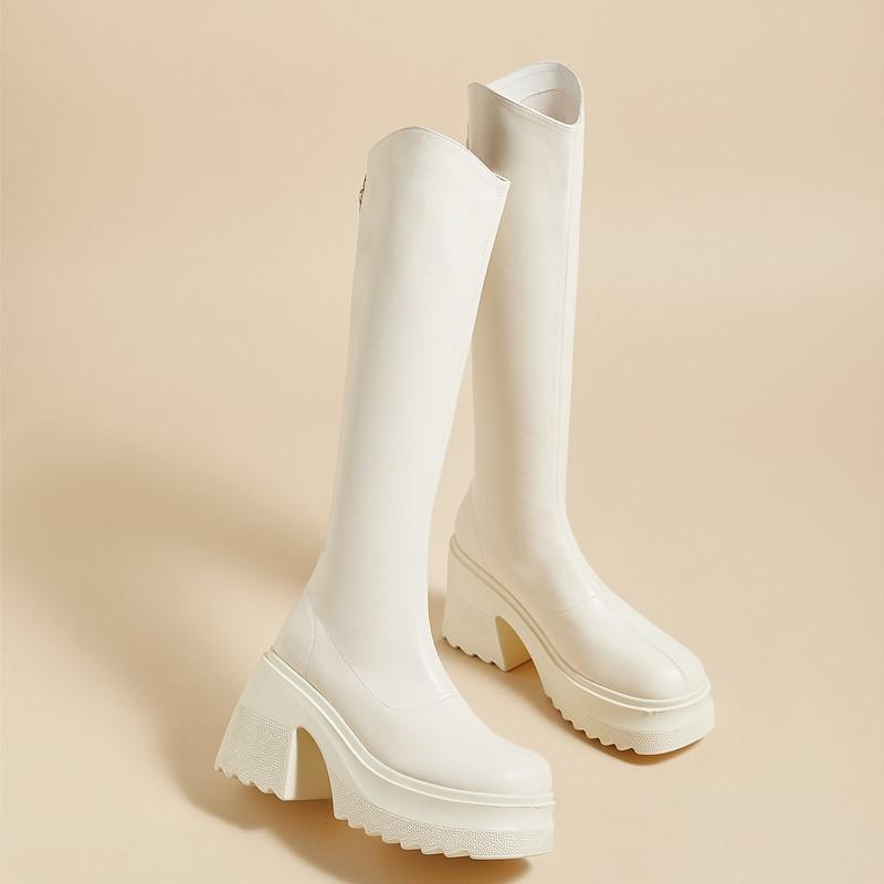 Fashion AIYUQI High Heel Boots Women Autumn 2025 New Genuine Leather Platform Boots Women Skinny Leg 10cm Heel High Female Rider Boots