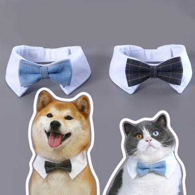 Kedi – Kedi Boyunluk ve Tasmaları