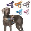 Haustiermode Hundegeschirre für mittelgroße und große Spazierhunde Tragbares Neues Design Sicherheitsbrustgeschirr Bunte Halsband-Accessoires