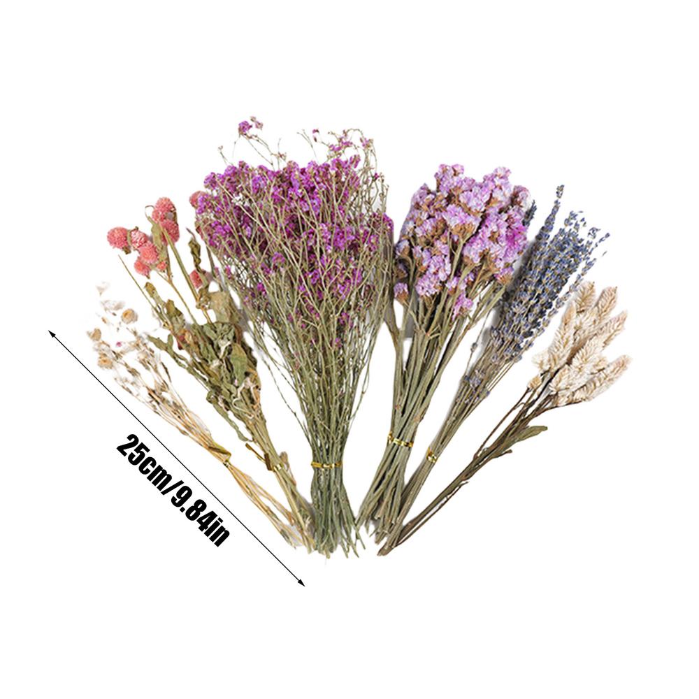 

Flower And Plant Bedding Natural Hamster Bedding Hamster Deodorizing Bedding Small Animal Deodorant Landscaping Supplies Product