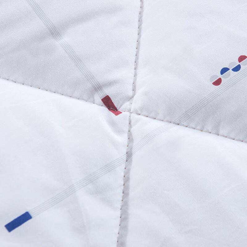 Yiyi Ai 100% Cotton Winter Quilt Insert