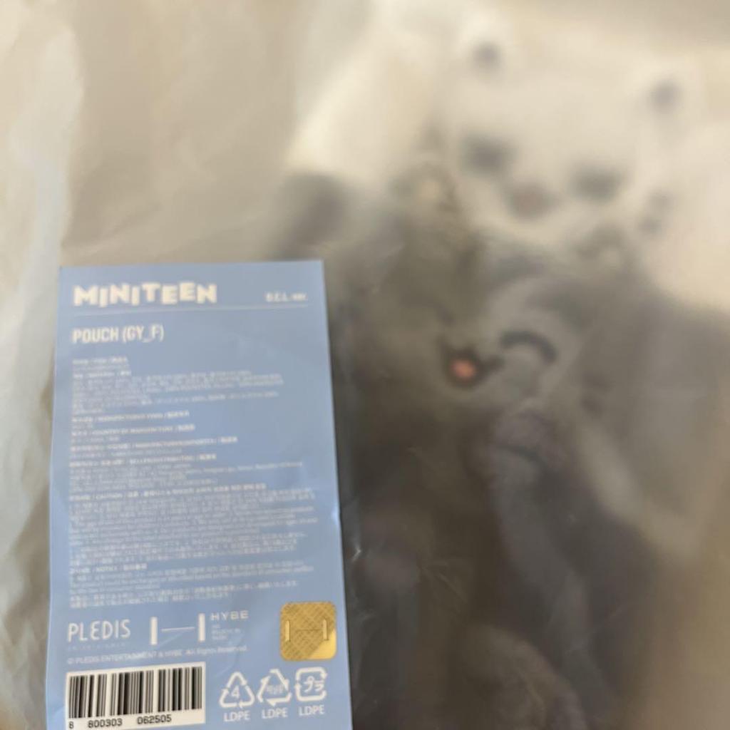 [USED] MINITEEN Pop-up Pouch Seventeen Jun