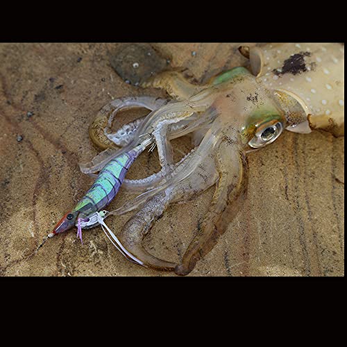DUEL YO-ZURI Egi Shrimp Q No. 3.5 10:Kuruma shrimp squid fishing, bluefin squid, egging