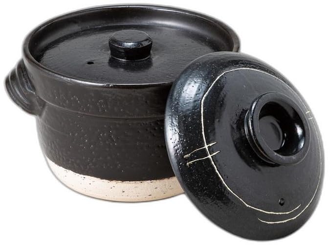 Rice Cooker X 17 X Ceramic Rice Cooker by Setomonohonpo 3-cup [21 15cm]