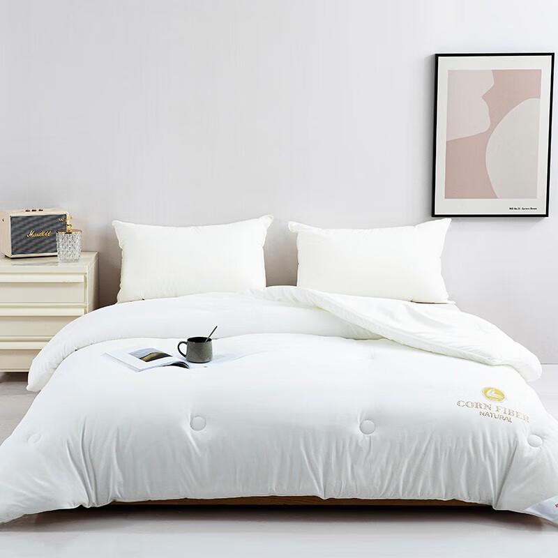 

Red Dragonfly Corn Fiber Warm Winter Quilt