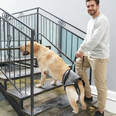 Dog Assist Harness Elastic Quick-Release Carrier Aid Dog Lift Harness For Back Legs For Pet Indoor Walking Vet Visit Car Bathing