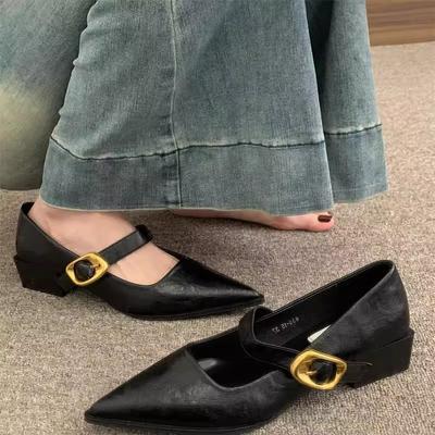 Pointed Single Shoes Women's Spring and Autumn Thick Heel Soft Leather with Mary Jane Shoes New Versatile Black High Heels