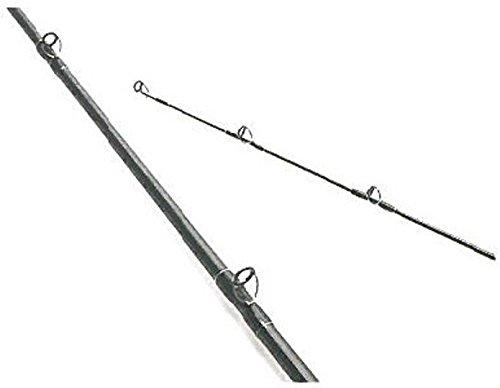 Fishman BRIST VENDAVAL BV89M 8.9M