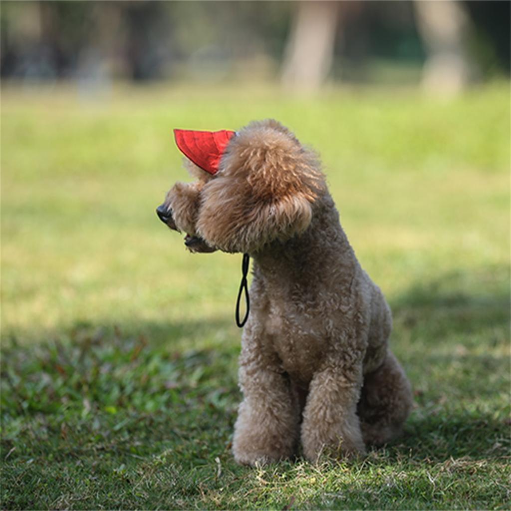 Cappello da baseball regolabile per cani da compagnia, con visiera, con fori per le orecchie, per sport all'aria aperta, per animali domestici