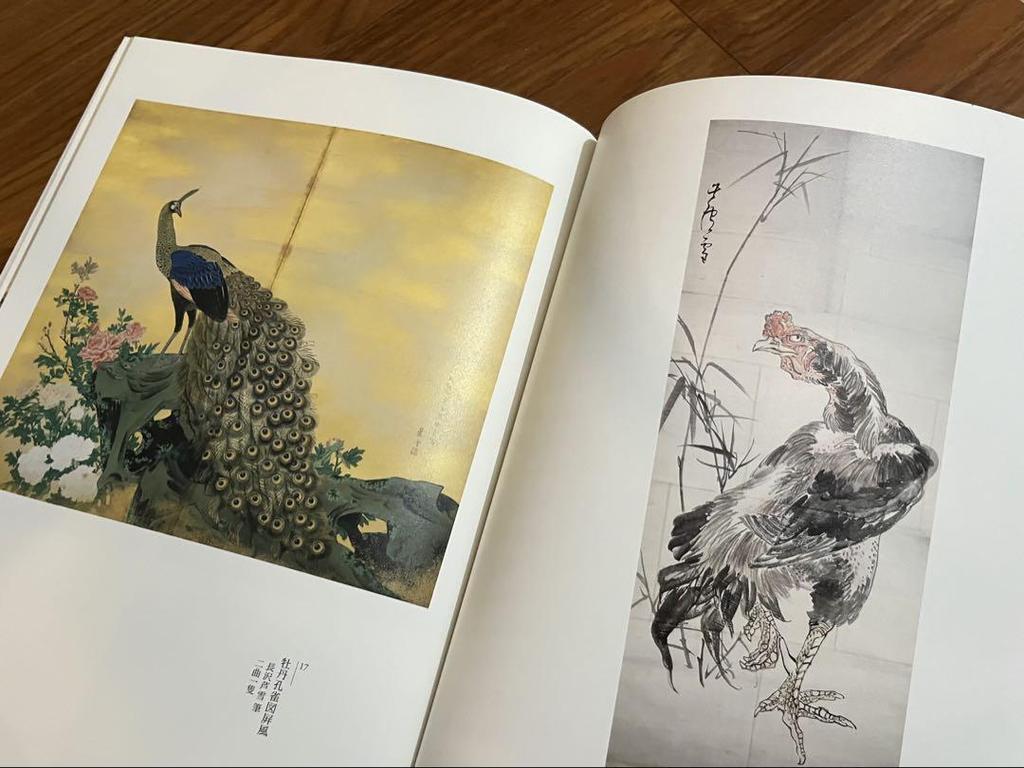 [USED] Price-reduced Art Book: Jakuchu and Edo Paintings